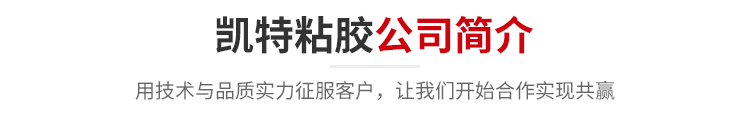 走进凯特