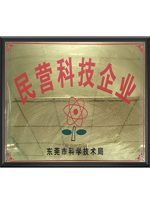 民营科技企业